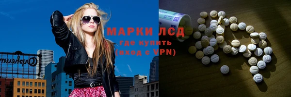 прущие грибы Балабаново