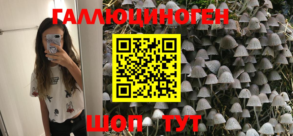 Псилоцибиновые грибы GOLDEN TEACHER Новомосковск