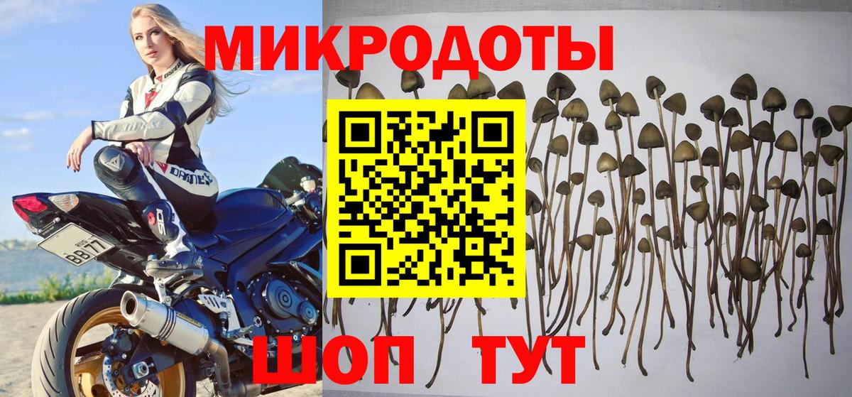Галлюциногенные грибы Psilocybine cubensis  Вход с VPN  Новомосковск 